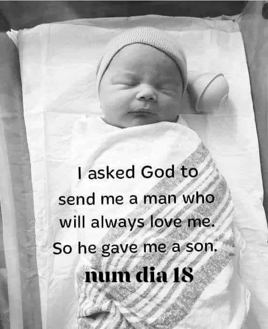 IMG_3628.JPG IMG_3628.JPG