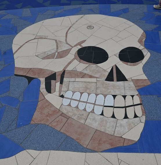 Não me canso disto esqueleto.jpg