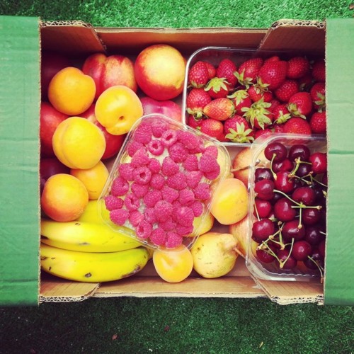 34536445_1108355352637558_1358932973918879744_n.jp