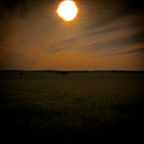 IMG_4393.JPG IMG_4393.JPG