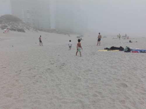 IMG_20180725_173348.jpg IMG_20180725_173348.jpg