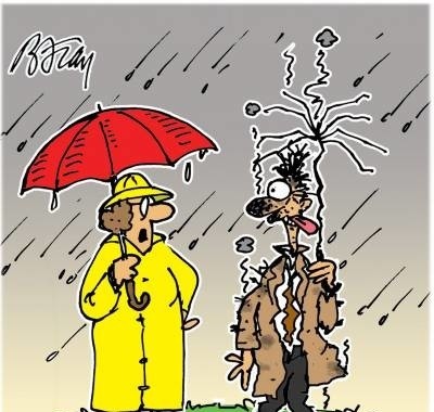 weather-lottery-lottery_winner-lottery_winning-lig