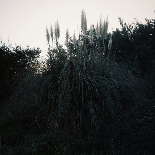 2015-01-10 05.20.09 1.jpg