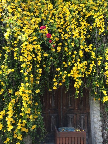 11072042_10202690891073586_8273311822449758581_n.j 11072042_10202690891073586_8273311822449758581_n.j