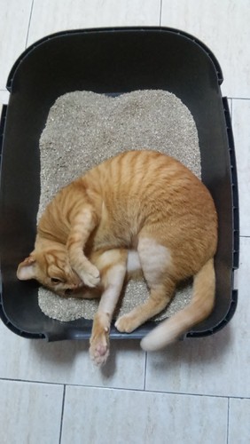 20170203_161502.jpg 20170203_161502.jpg