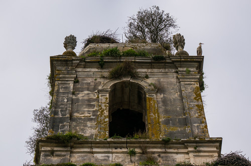 DSC01077.jpg DSC01077.jpg