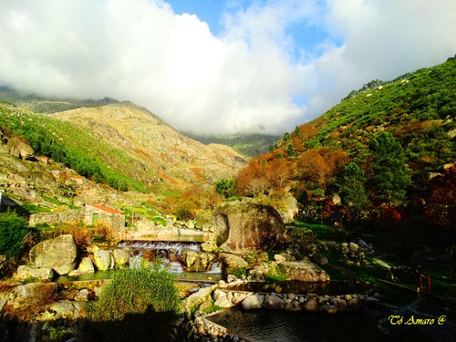 Fotos de Outono !!! 090.jpg