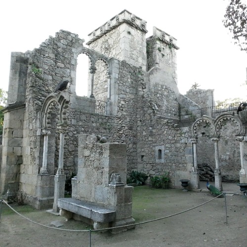 COPYRIGHT O RAPAZ DAS ILHAS