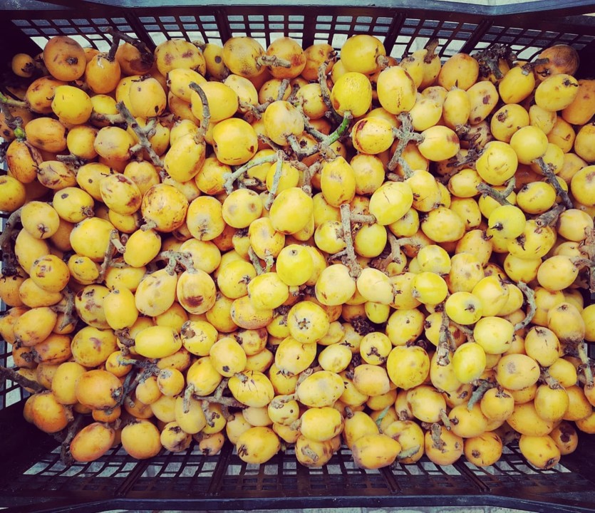 178886792_2008053082667776_896882265783864074_n.jp