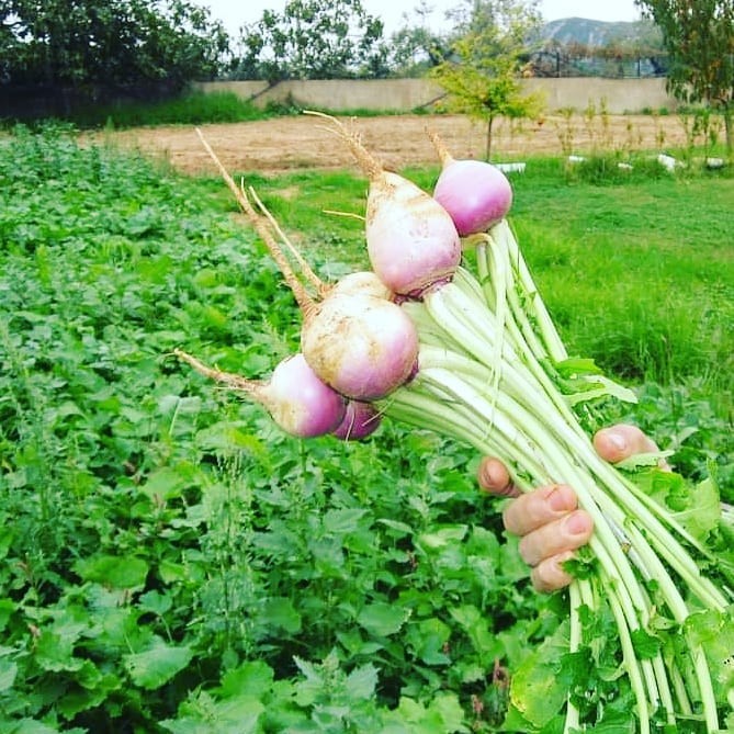 124242587_1868262369980182_9134239757129490190_n.j