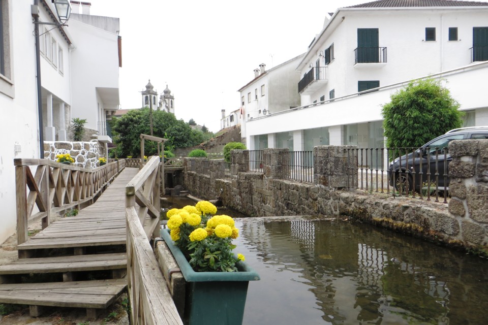 IMG_3242.JPG IMG_3242.JPG