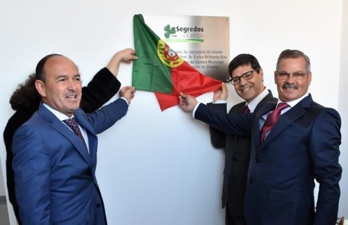 51703024_10158274949663696_334302425911394304_n.jp