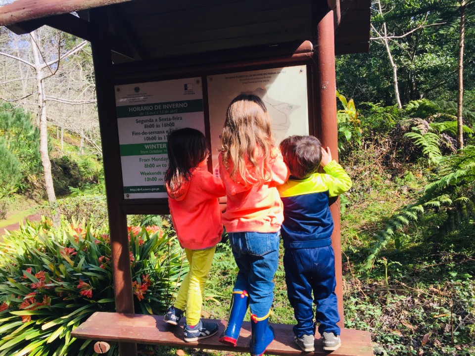 IMG-0529.jpg IMG-0529.jpg