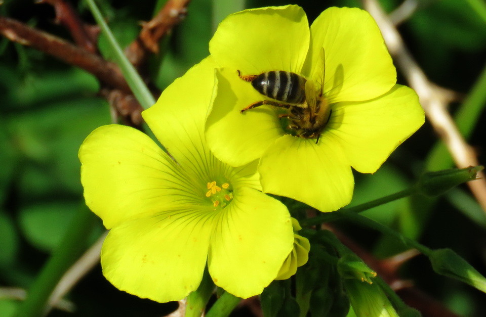 IMG_0183.jpg IMG_0183.jpg