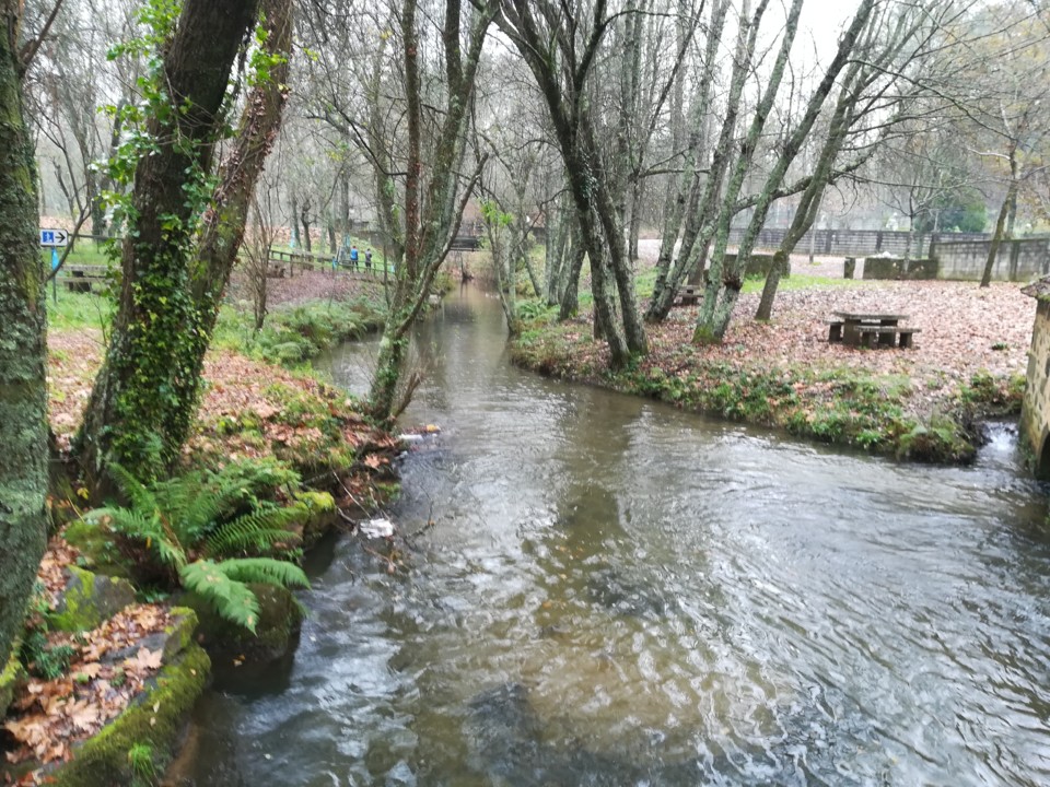IMG_20191208_102742.jpg