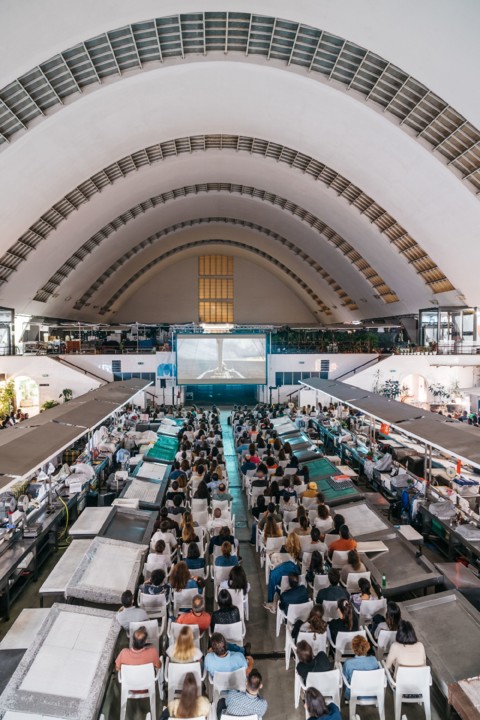 Festival Cinema Aventura em Matosinhos.jpeg