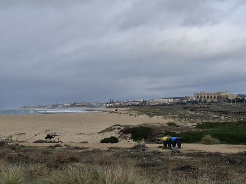 11a_Espinho (25).jpg