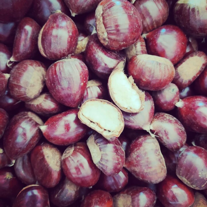 316050113_2470615076411572_3147212667279417873_n.j