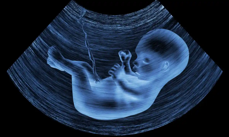 2022-07-02 micropasticos na placenta.png
