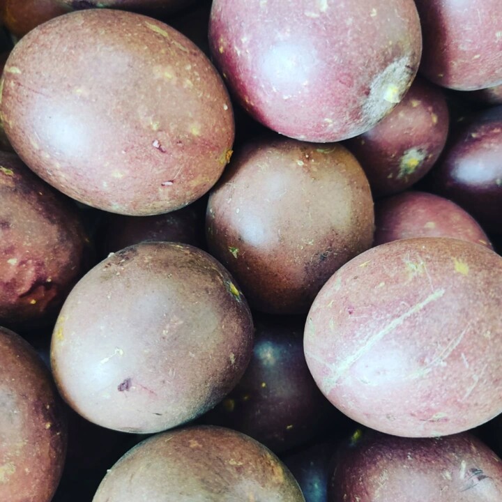 541849338_18497653393066958_3530319314329459174_n.