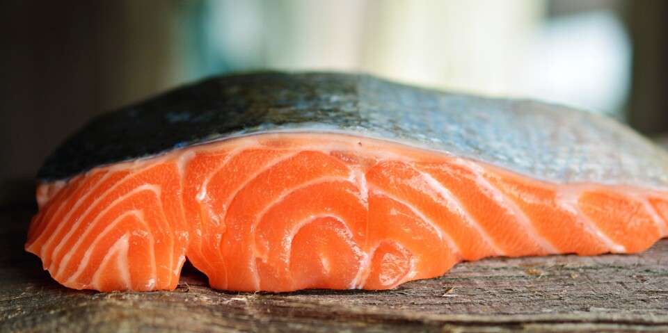salmon-gb3fc75d8b_1280.jpg
