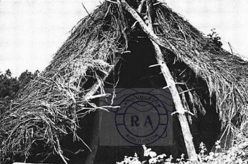 Bardos do mato cs.jpg