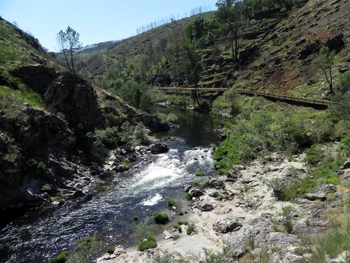 13516664_10157108746255578_1909362077963507976_n.j