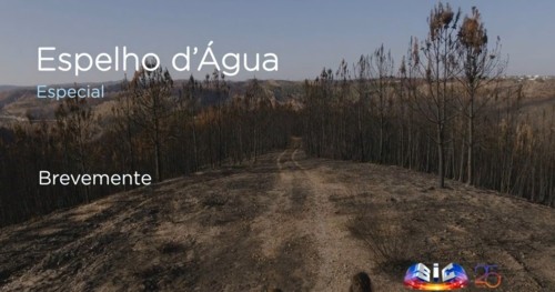 espelhodagua especial.jpg