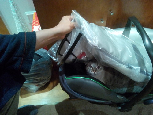 IMG_20141226_004148.jpg IMG_20141226_004148.jpg