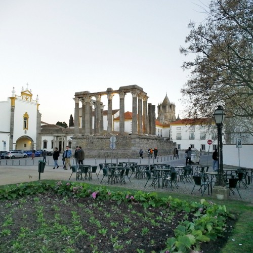 COPYRIGHT O RAPAZ DAS ILHAS