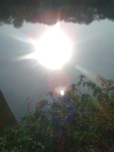 UM ALERTA PARA VIDA/ O FIM DO MUNDO