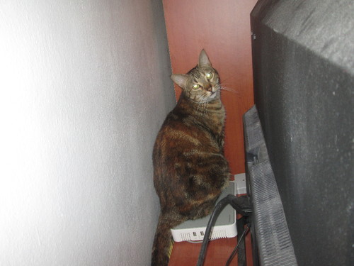 IMG_2189.JPG IMG_2189.JPG