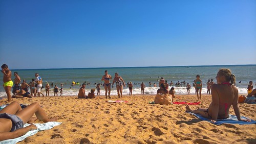 13988180_10210199239527473_9098545938527432558_o.j