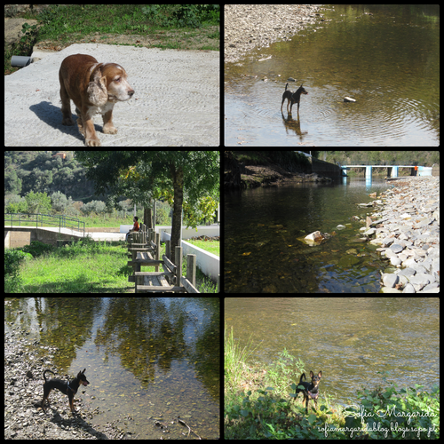 PicMonkey Collage5.png