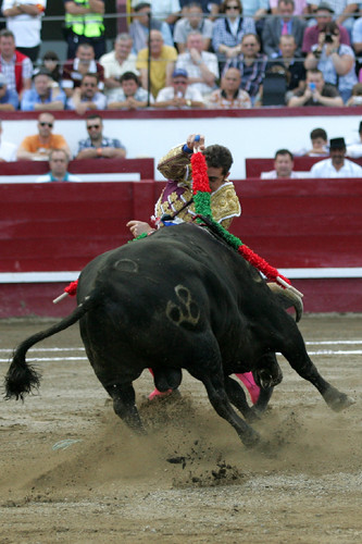 El Fandi, na arte de bem bandarilhar...