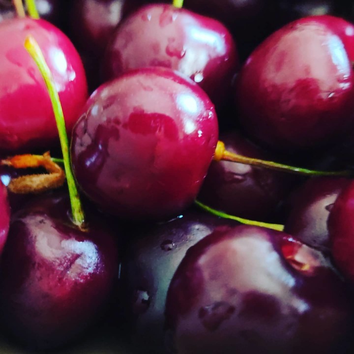 193800746_2032413163565101_333423424787553060_n.jp