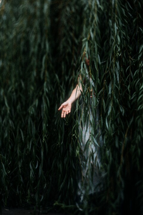 Festival de parangonas