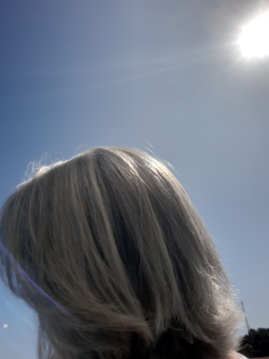 20190730_110941.jpg 20190730_110941.jpg