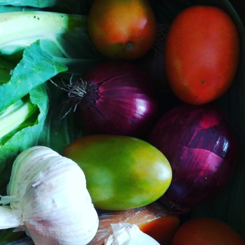 51246620_1298621386944286_1445420004508958720_n.jp