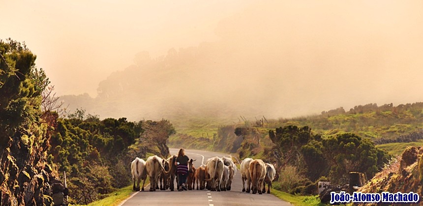 EM CABEÇO DAS CABRAS.JPG