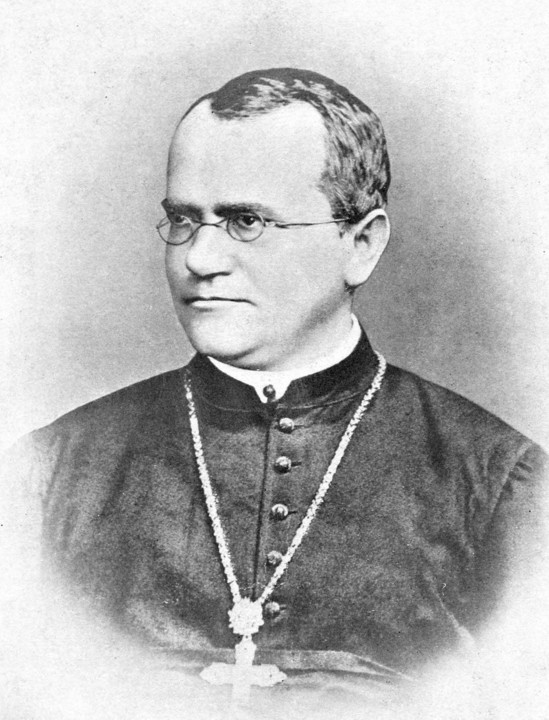 Imagem de Gregor Mendel