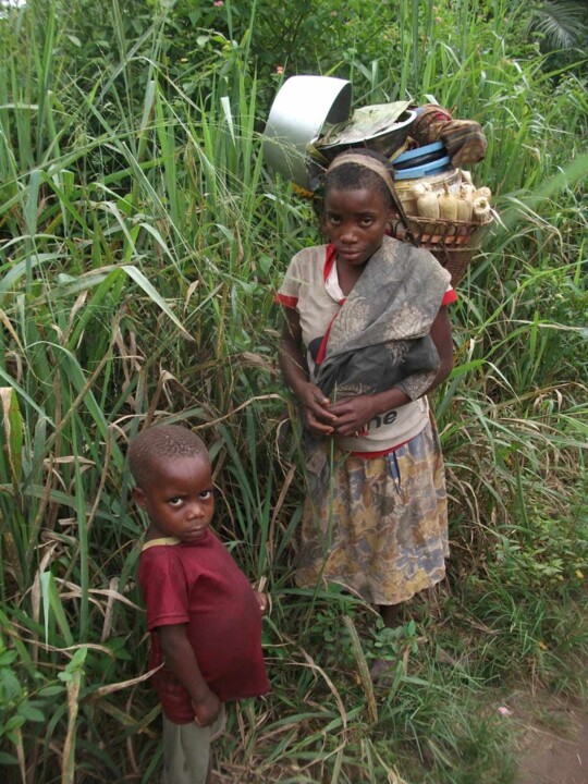 358023332_236008712628785_8383606864559652188_n.jp