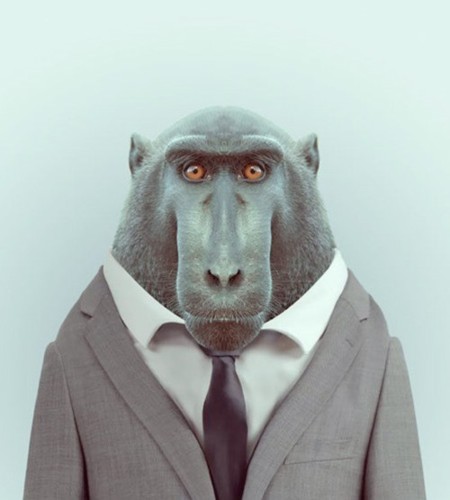 macaco.jpg macaco.jpg