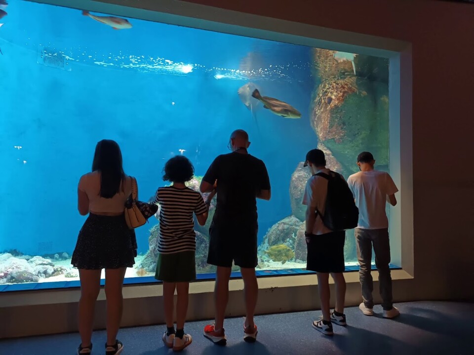 Não me canso disto Corunha 1.jpg