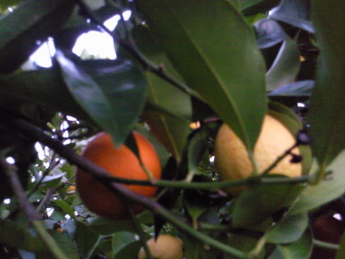 Foto original DAPL 2015.jpg Foto original DAPL 2015.jpg