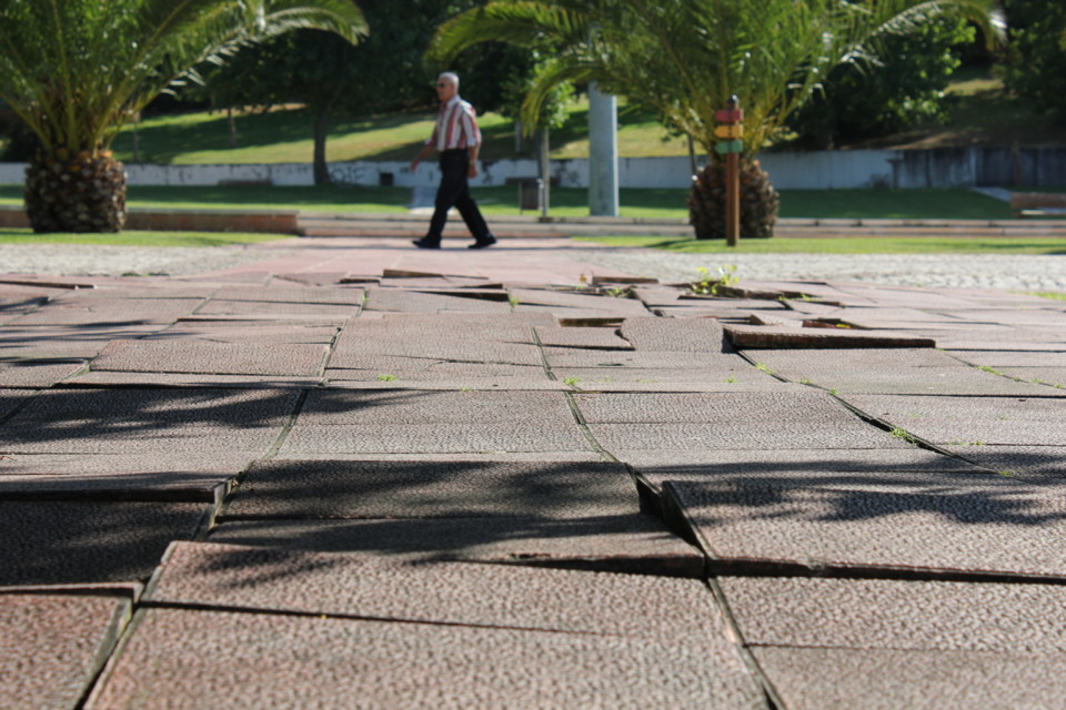 IMG_0338_2011.JPG IMG_0338_2011.JPG