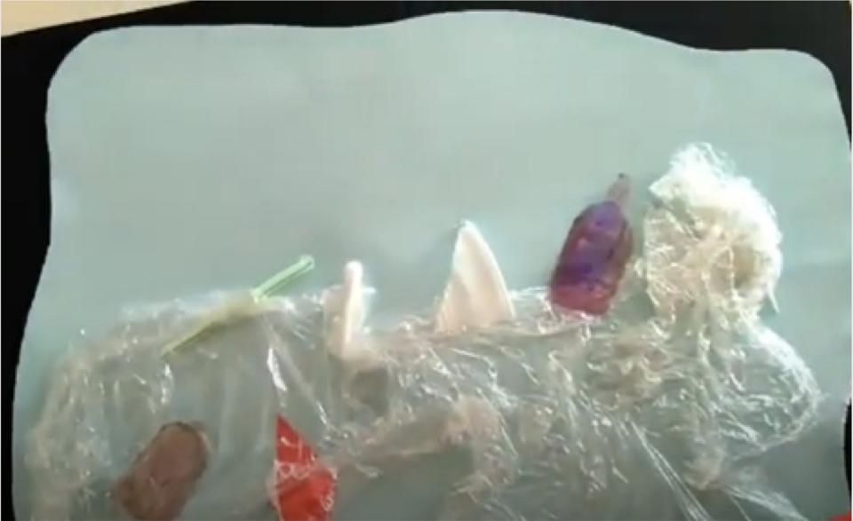 Captura de ecrã 2021-05-24, às 15.41.57.png