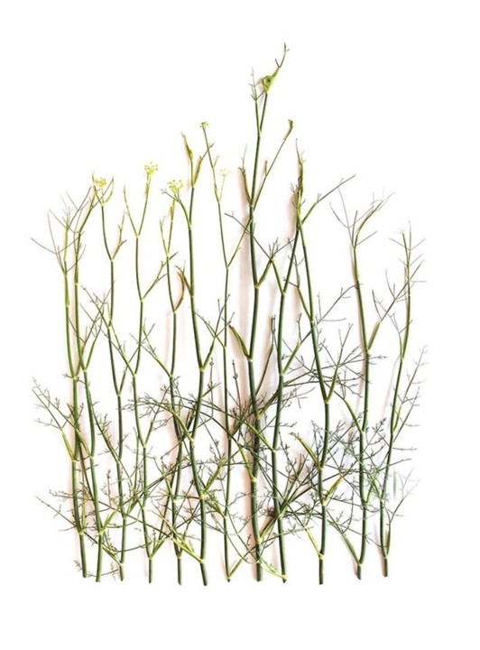 1490709_10201839710954041_8980074146505443415_o.jp 1490709_10201839710954041_8980074146505443415_o.jp