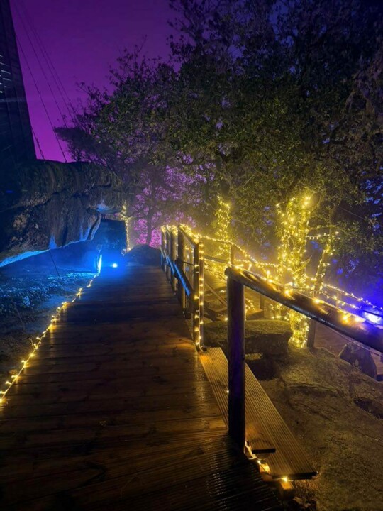 Floresta Encantada -Balanço Final (4).jpg