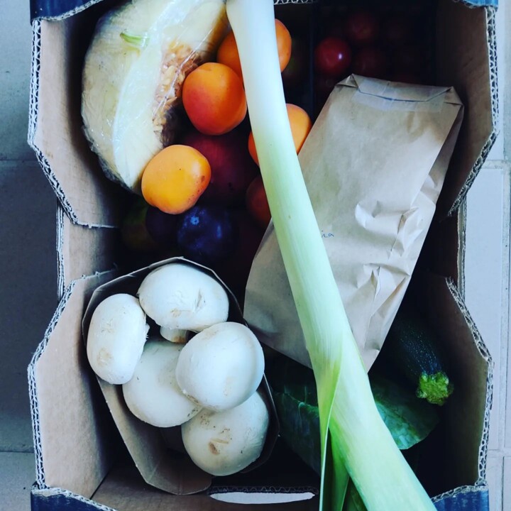 360122694_657080506449363_1979862046153288456_n.jp